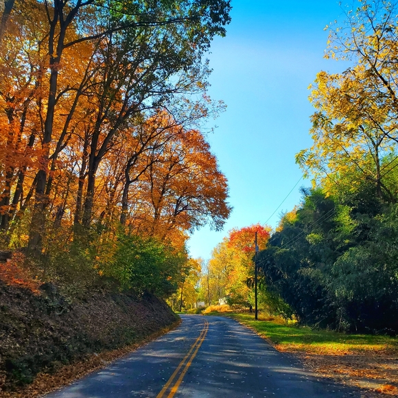 Meet your Posher, Melissa - Picture 4 of 4